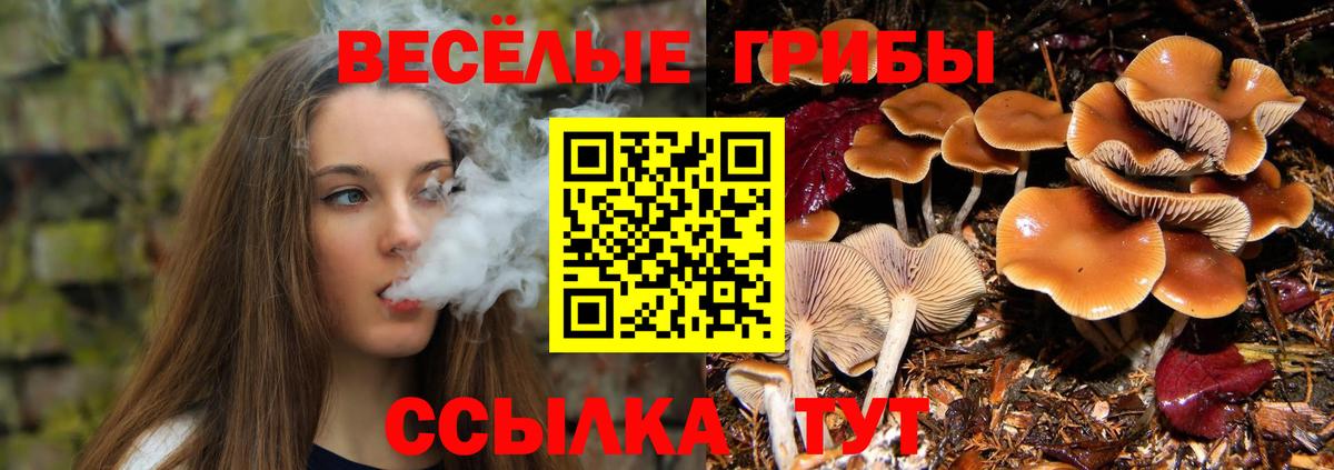 Галлюциногенные грибы GOLDEN TEACHER  закладка  Нарьян-Мар  Вход с VPN  Галлюциногенные грибы Cubensis 